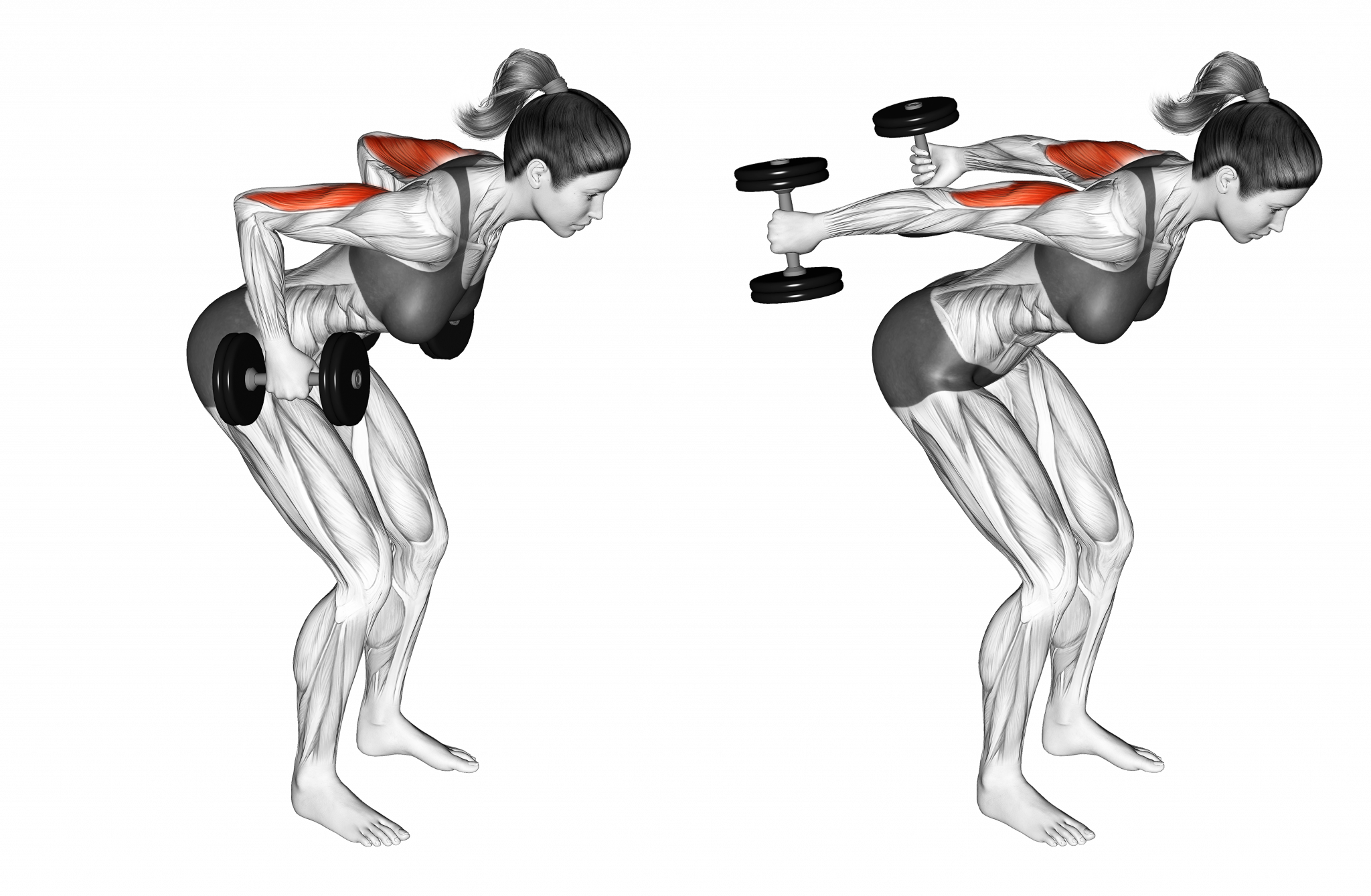 Разобрать упражнения. Кикбэк на трицепс. Dumbbell Triceps kickbacks Triceps. Кикбэк с гантелью. Кикбэк с гантелями