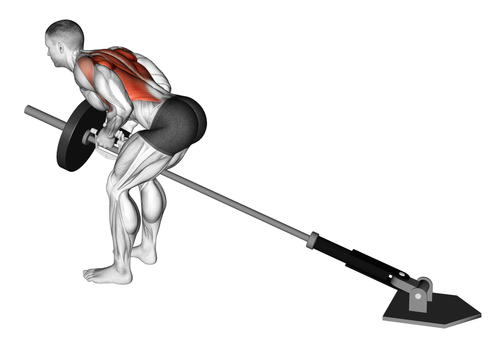 T-Bar Row упражнение. T Bar Row. Barbell bent over Row. Bent over Barbell.