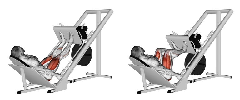 Жим ногами и разгибания ног: Ключевые различия и сравнительный анализ